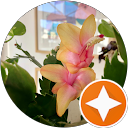 Virginia Del Río profile picture